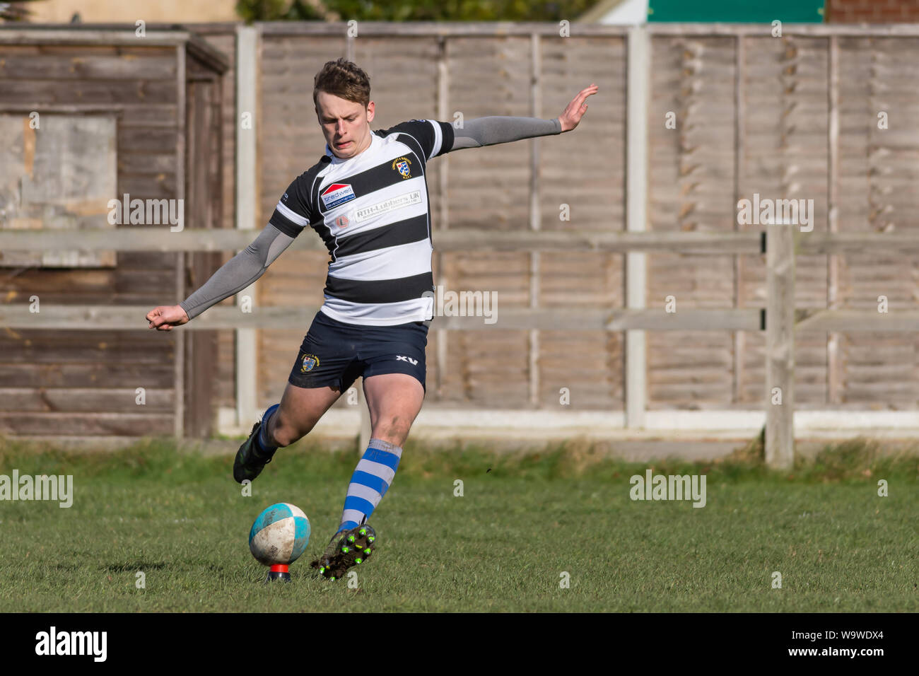 Giovane maschio (età 15-25) imposta a calciare la sfera posta sul raccordo a t di calci, con le braccia stese per equilibrio, amatoriali durante la partita di rugby a Lowestoft. Foto Stock