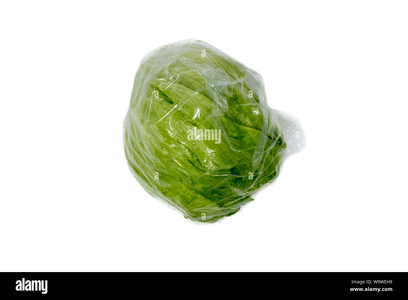 La lattuga iceberg avvolti in film plastico Foto Stock