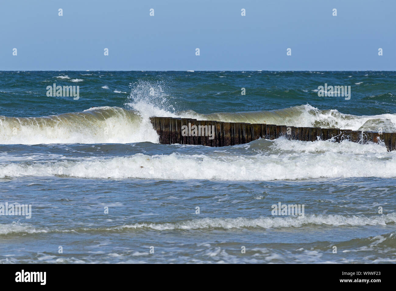 Onde di vento sulla spiaggia di Wustrow, Fischland, Meclemburgo-Pomerania Occidentale, Germania Foto Stock