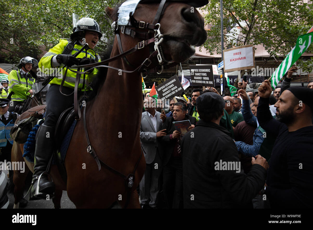 Londra, Regno Unito. 15 agosto 2019. La polizia a cavallo, i dimostranti e i manifestanti del Kashmir. Credito: Joe Kuis / Alamy News Foto Stock