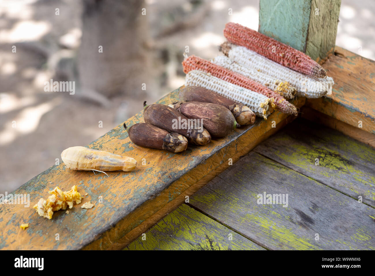 Close up Urucuri frutti di palma, con o senza corteccia, su tavola in legno rustico verniciato di verde. Molto nutriente per le persone e per gli animali di amazon. Foto Stock