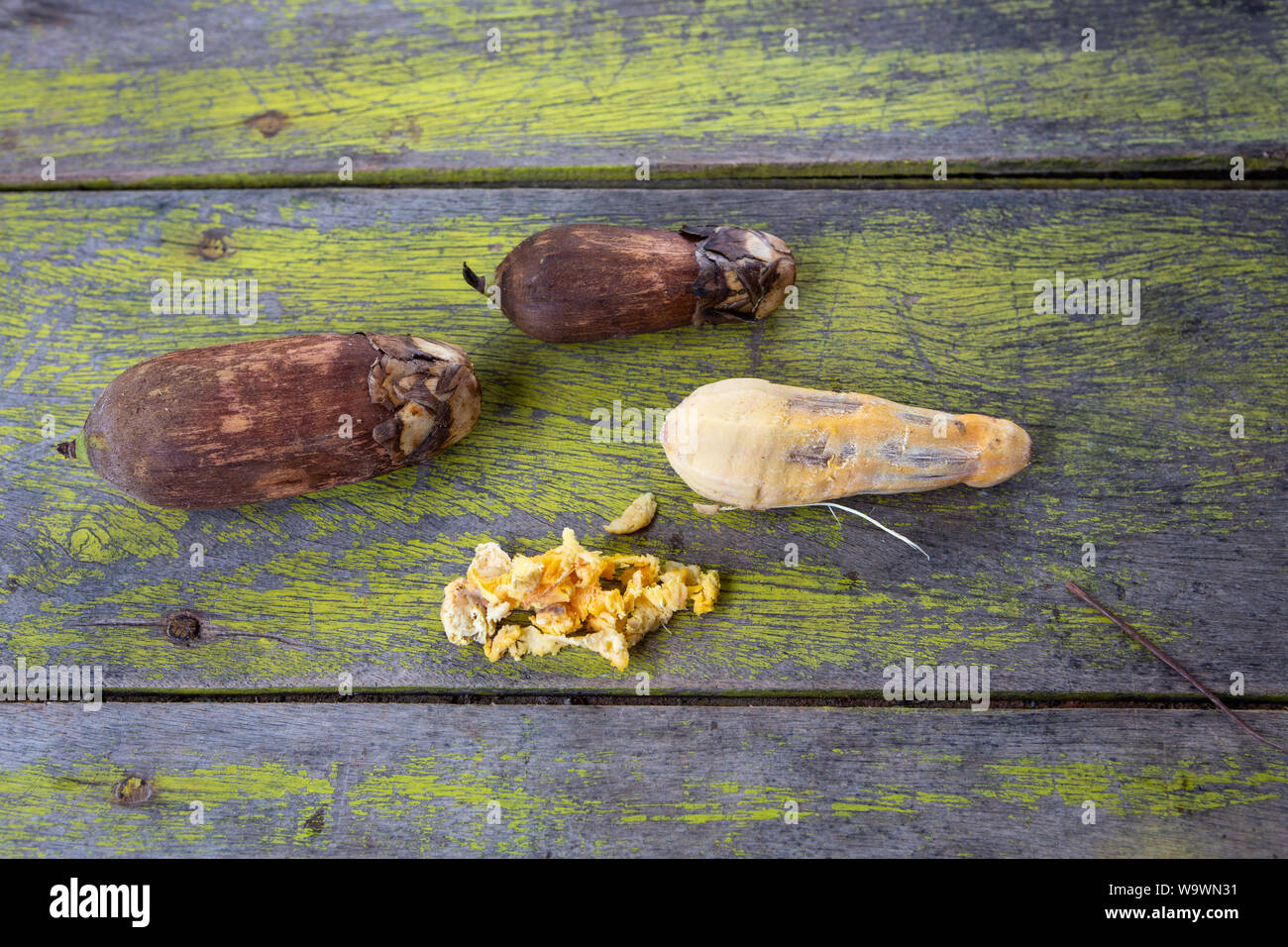 Close up Urucuri frutti di palma, con o senza corteccia, su tavola in legno rustico verniciato di verde. Molto nutriente per le persone e per gli animali di amazon. Foto Stock