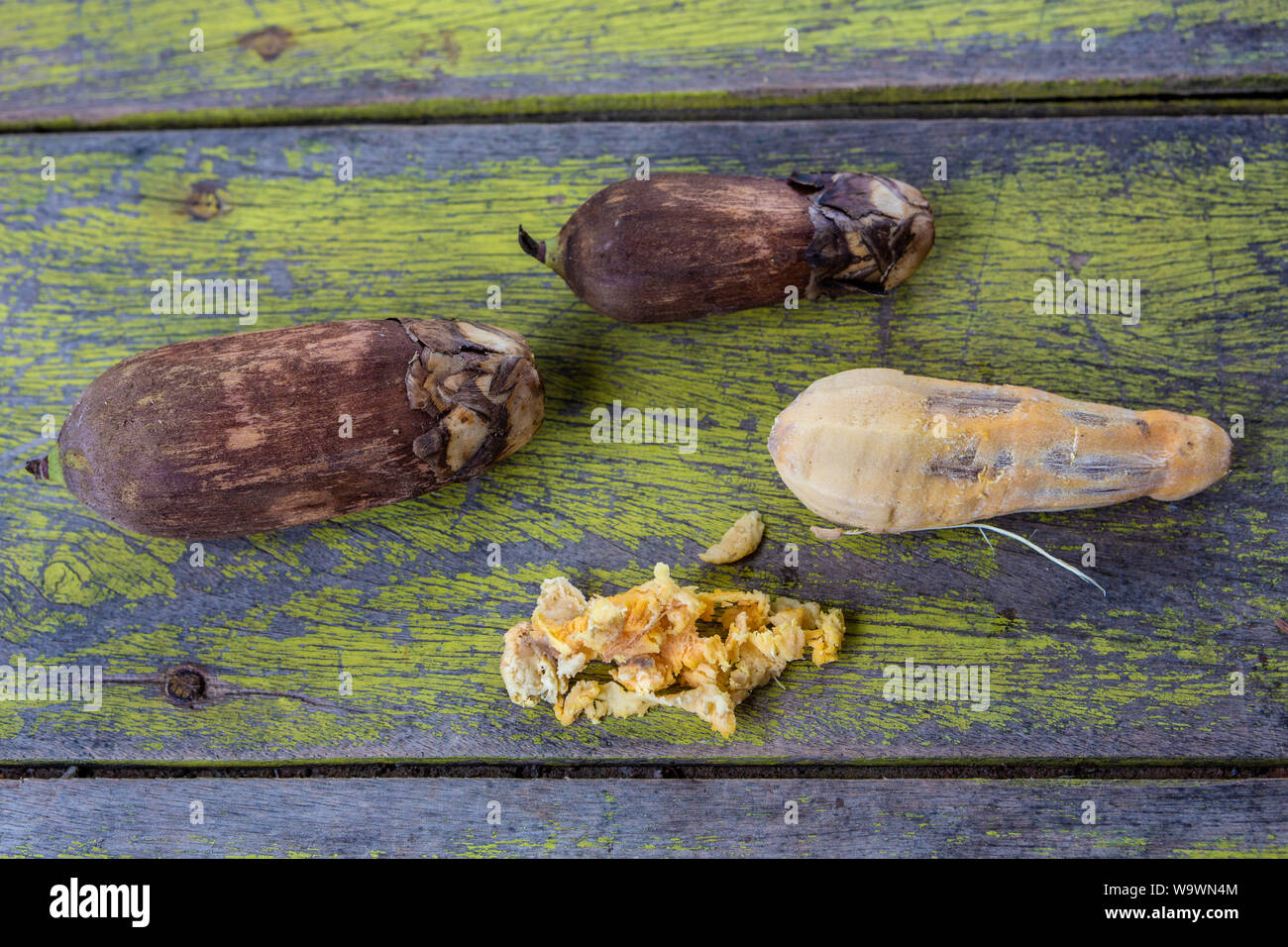 Close up Urucuri frutti di palma, con o senza corteccia, su tavola in legno rustico verniciato di verde. Molto nutriente per le persone e per gli animali di amazon. Foto Stock