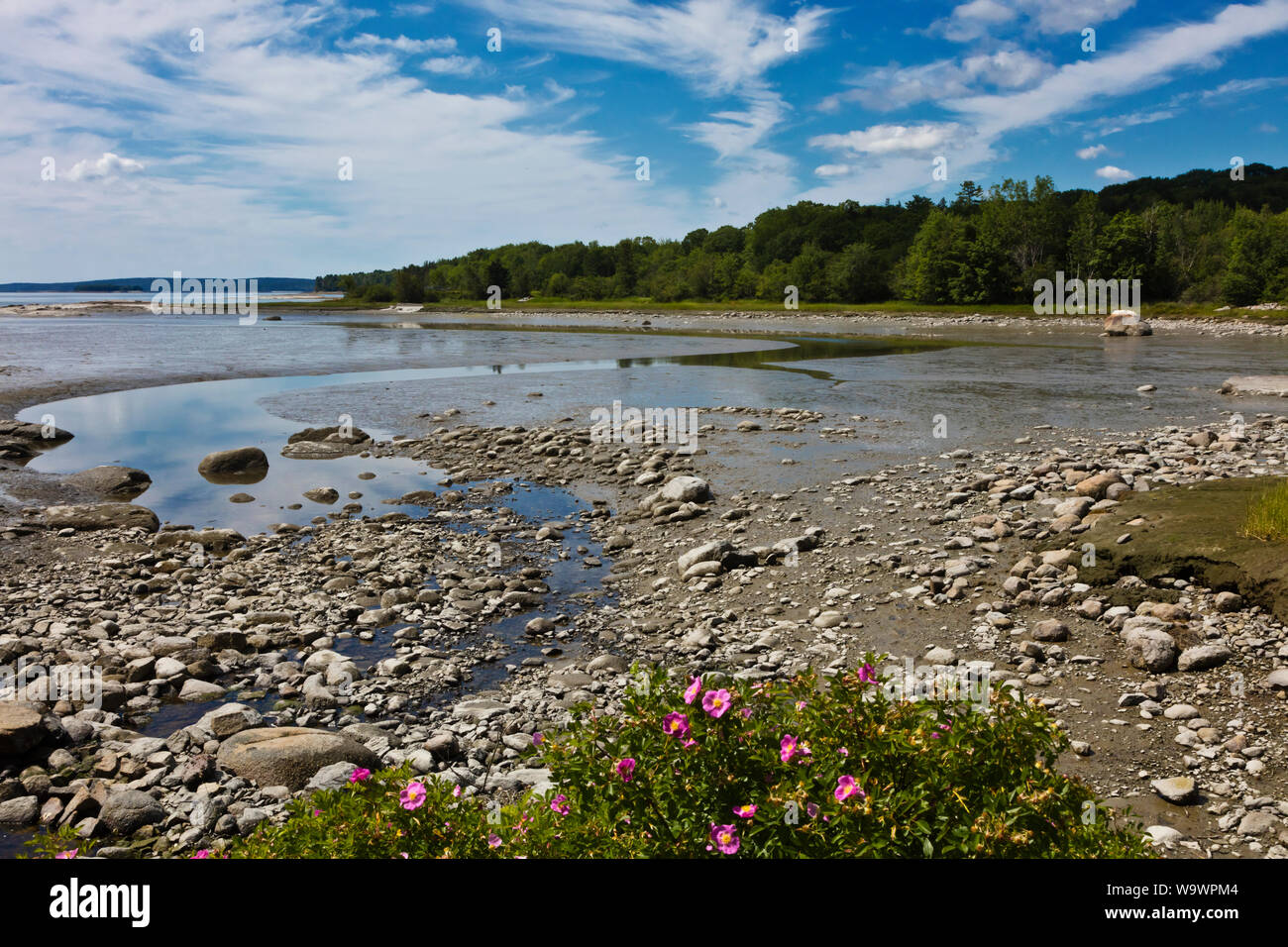 Bassa marea a Blue Hill Bay - Maine Foto Stock