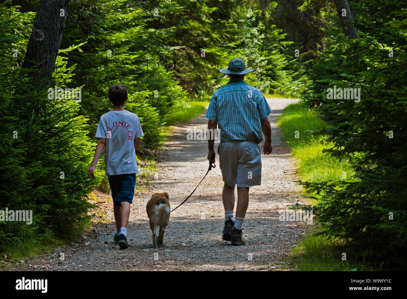 Escursioni a piedi su una strada di fuoco sull'isola deserta - Parco nazionale di Acadia, MAINE Foto Stock