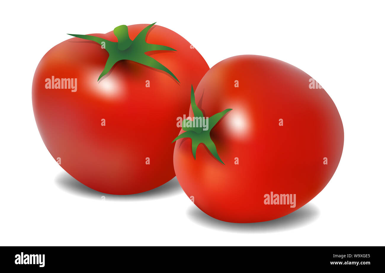 Realistico illustrazione di pomodoro. Disponibile in EPS modificabile in formato vettoriale. Foto Stock