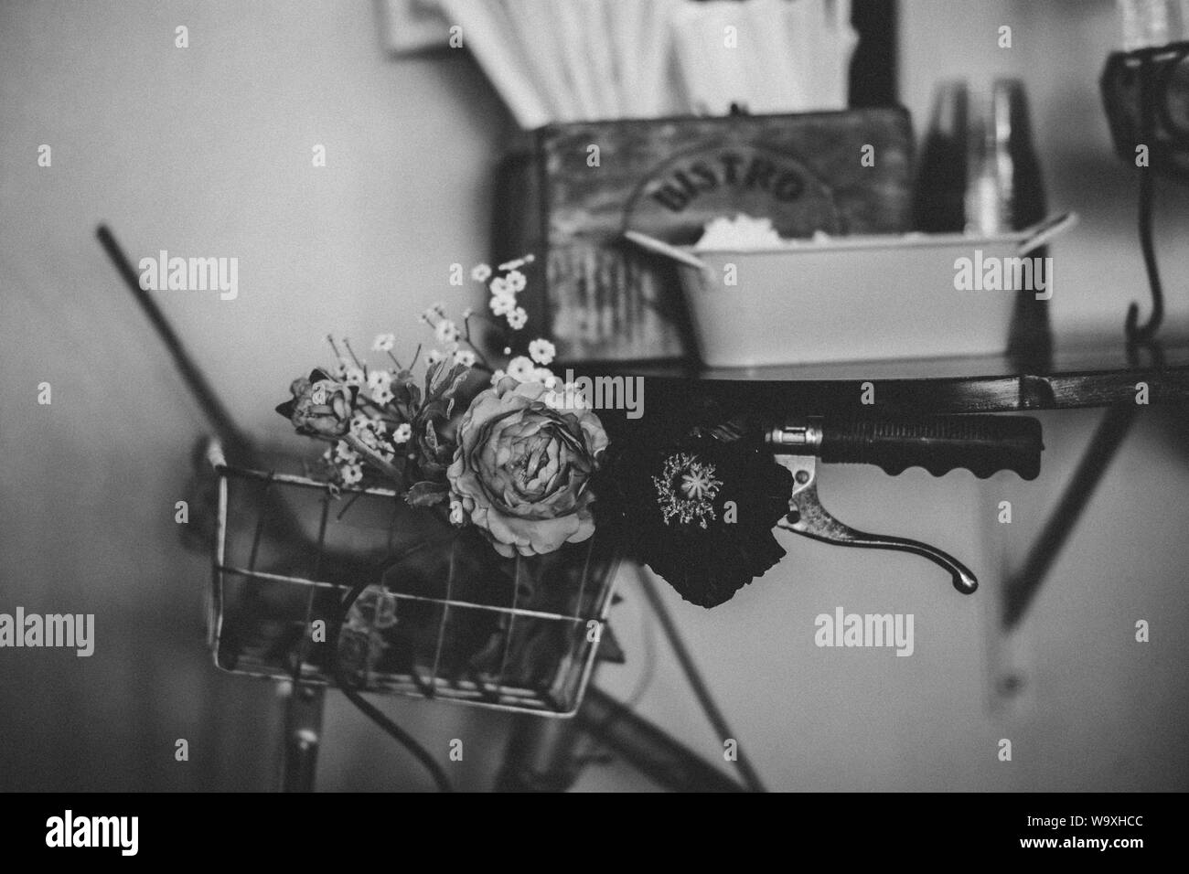 Scala di grigi di fiori in un cestino di bicicletta Foto Stock