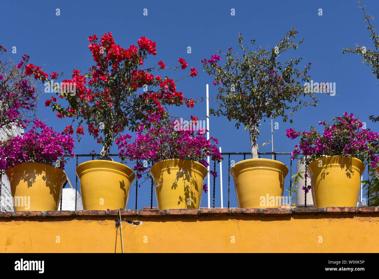 San Miguel De Allende, Messico Foto Stock