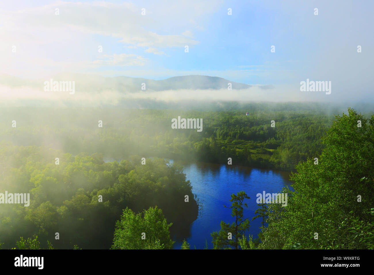 La nebbia di mattina offuscato la Foresta Fiume Foto Stock