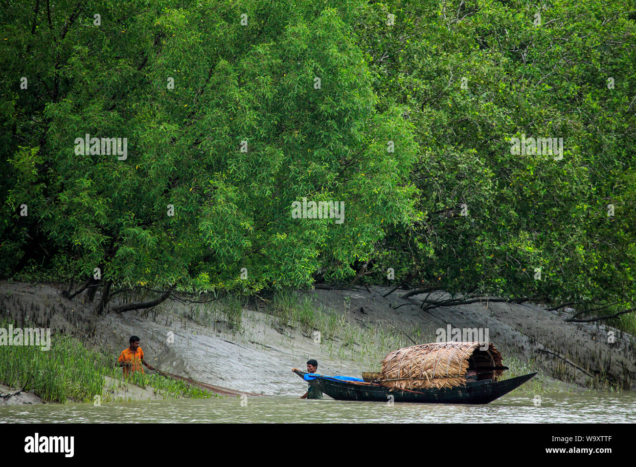 I pescatori all'interno di cattura la sundarbans, la più grande foresta di mangrovie del mondo. Bangladesh Foto Stock