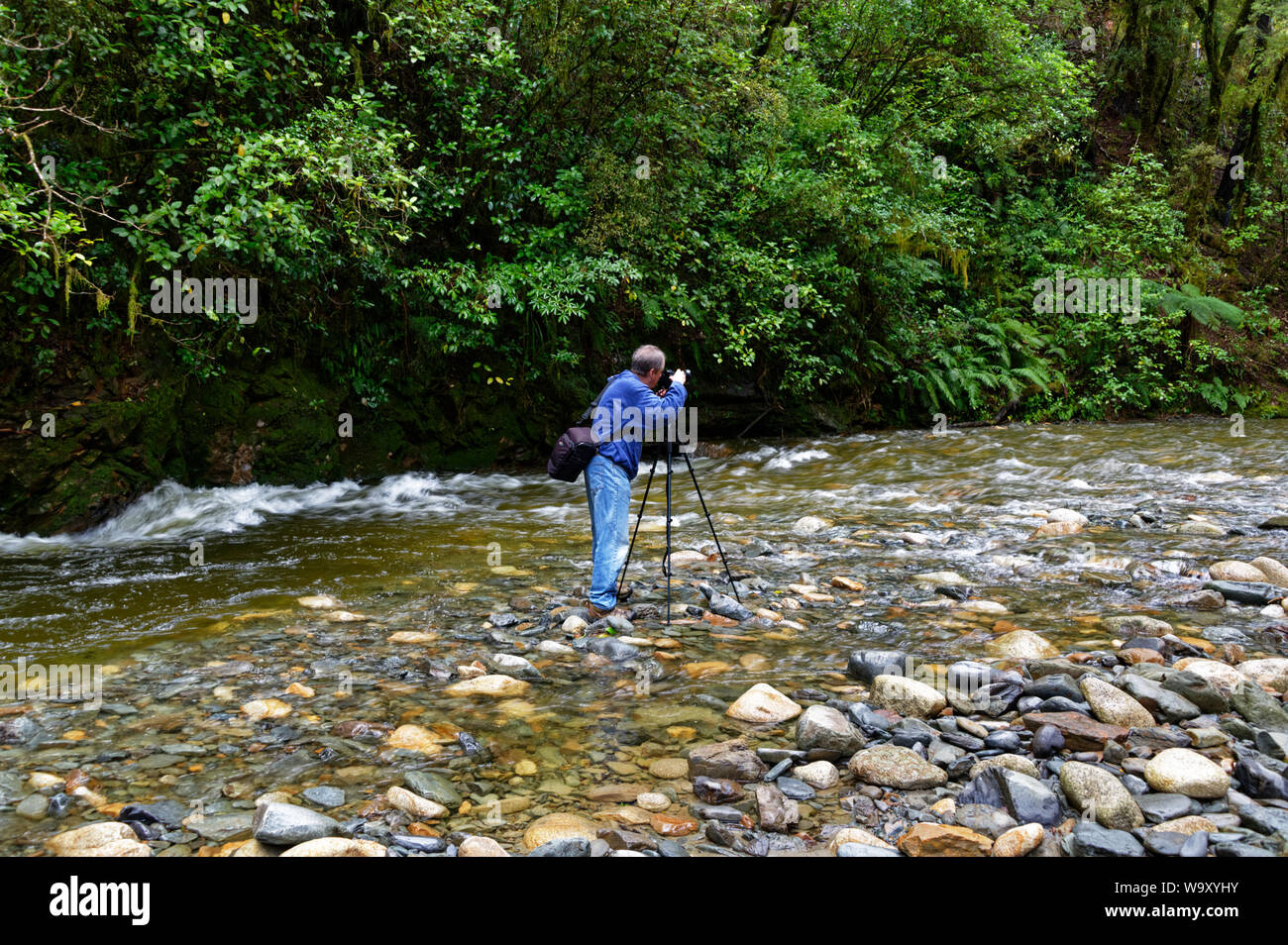 Un maschio di fotografo è in piedi nel mezzo di un fiume con la sua macchina fotografica su un cavalletto di scattare una foto Foto Stock