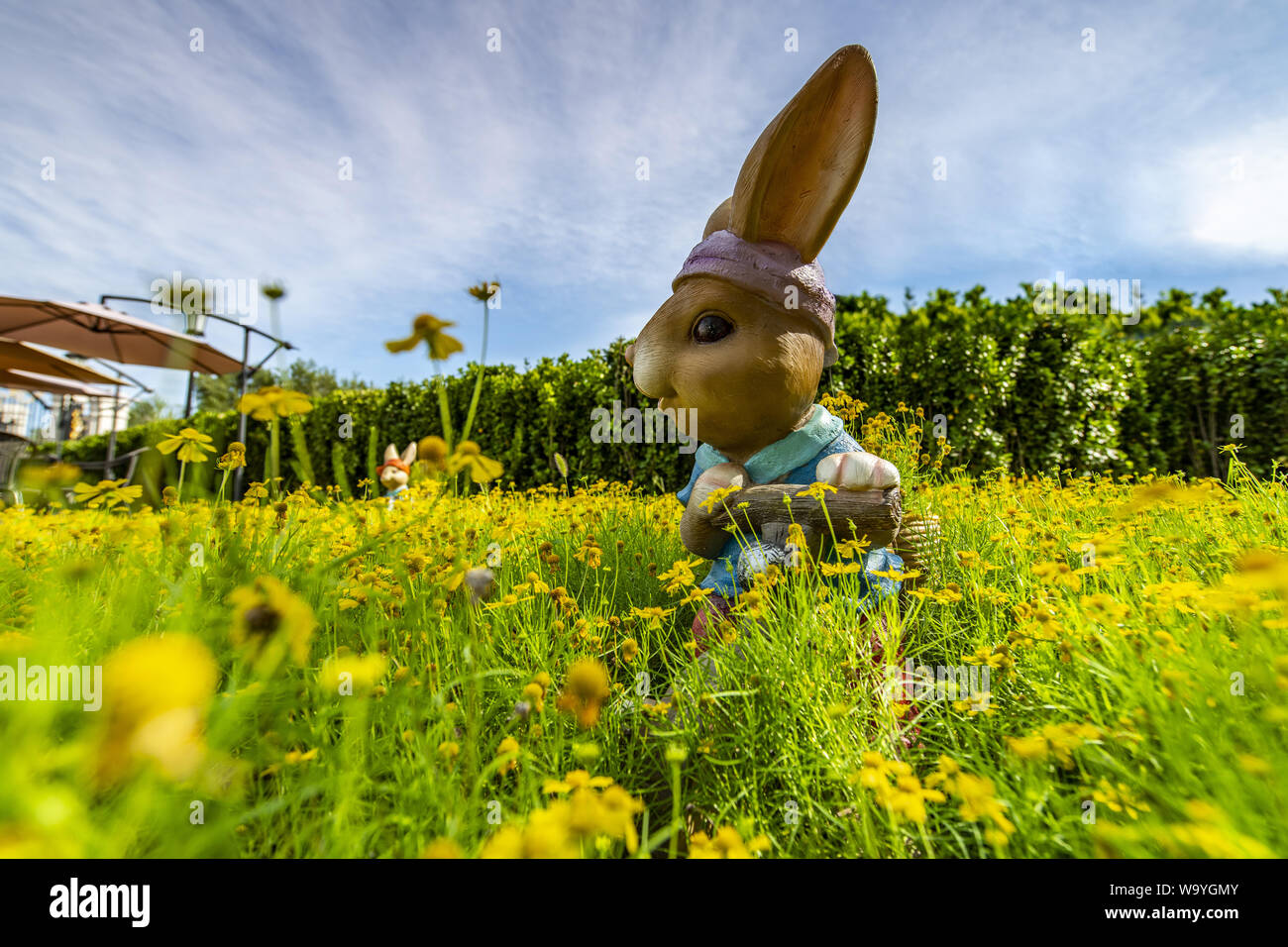 Il giardino botanico Foto Stock