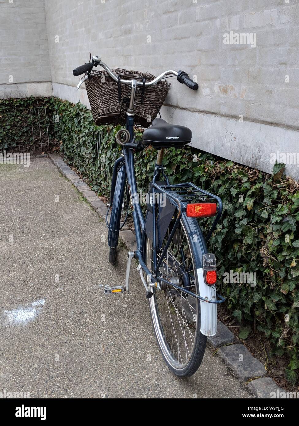 Colpo verticale di una bicicletta nera con cesto marrone parcheggiato vicino ad un muro con piante Foto Stock