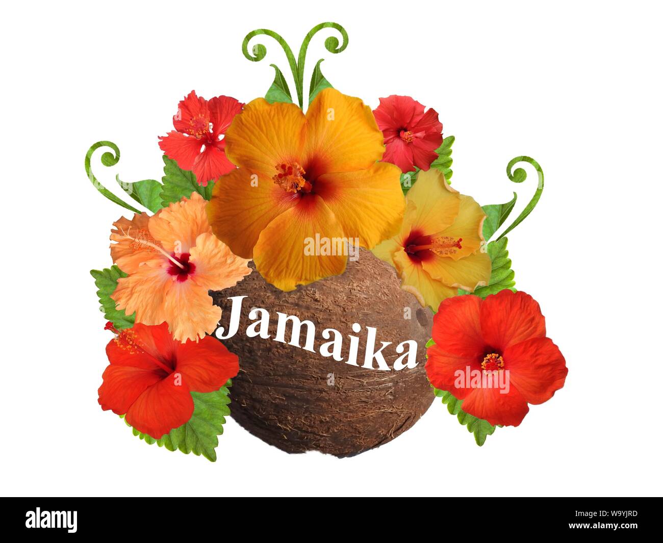 Hibiscus in diversi colori e con diverse varietà Foto Stock