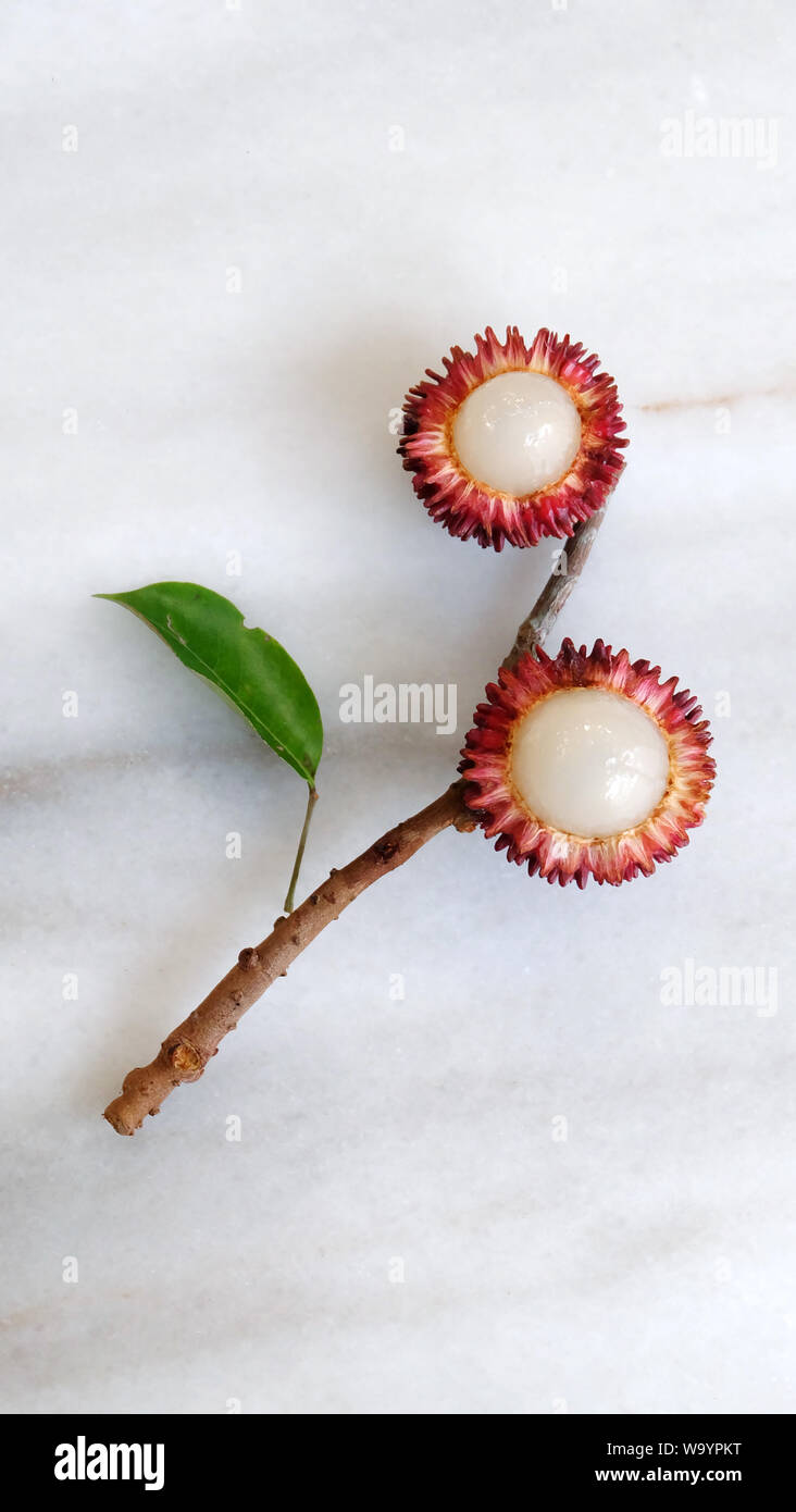 Piatto di laici pulasan frutta, foglie e rami disposti in un disegno floreale. Pulasan è un rosso di frutta tropicale dal sud-est asiatico. Foto Stock
