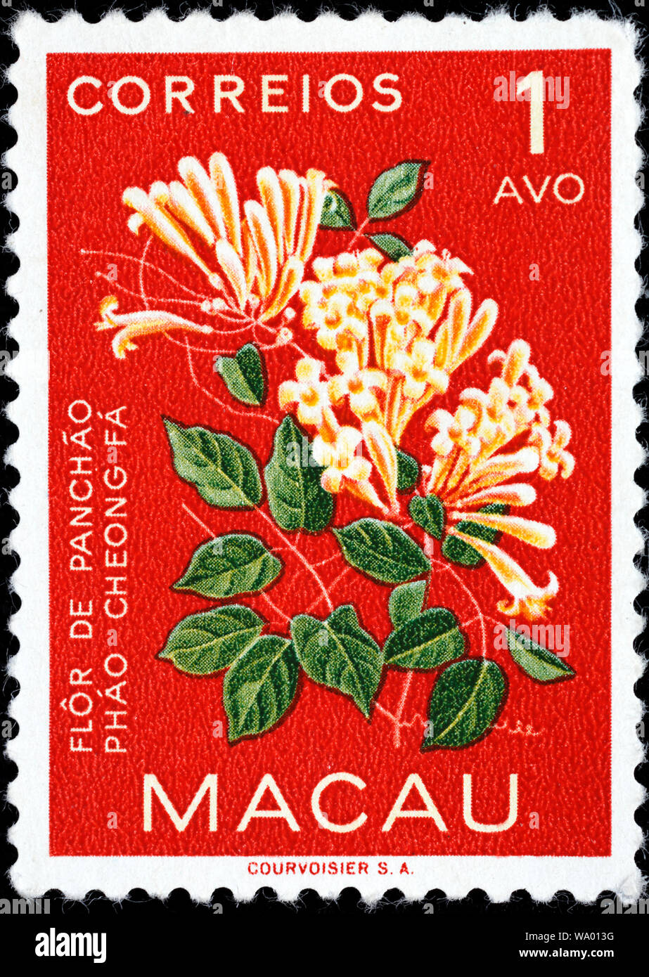 Caprifoglio, Lonicera japonica, fiori, francobollo, Macau, Macao, Cina, 1953 Foto Stock
