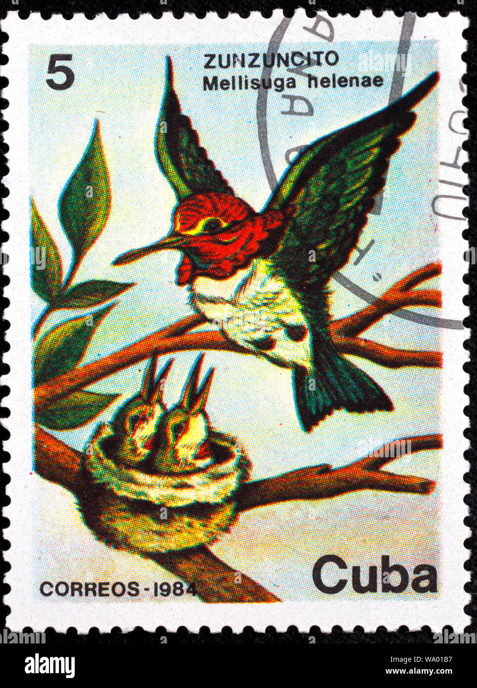 Bee Hummingbird, Zunzuncito, Mellisuga helenae, francobollo, Cuba, 1984 Foto Stock