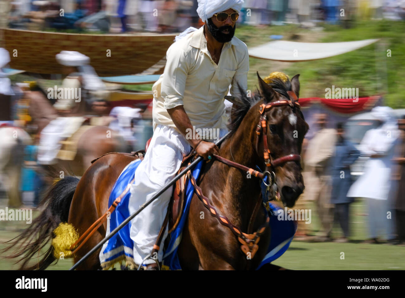 Tenda ancoraggio cavallo pilota al festival culturale del Pakistan. Foto Stock