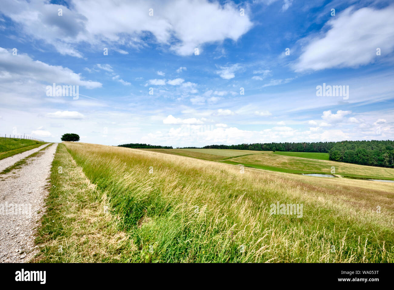 Bella e soleggiata rurali paesaggio estivo con una lunga strada di ghiaia e una diminuzione persepective Foto Stock