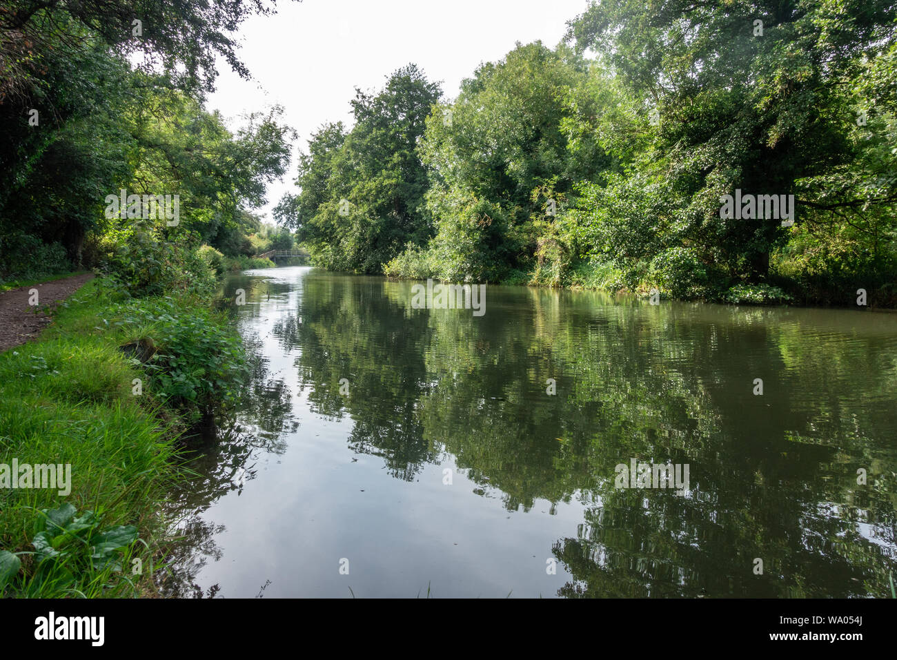 Una vista guardando giù il fiume Kennet at Reading, Berkshire Foto Stock