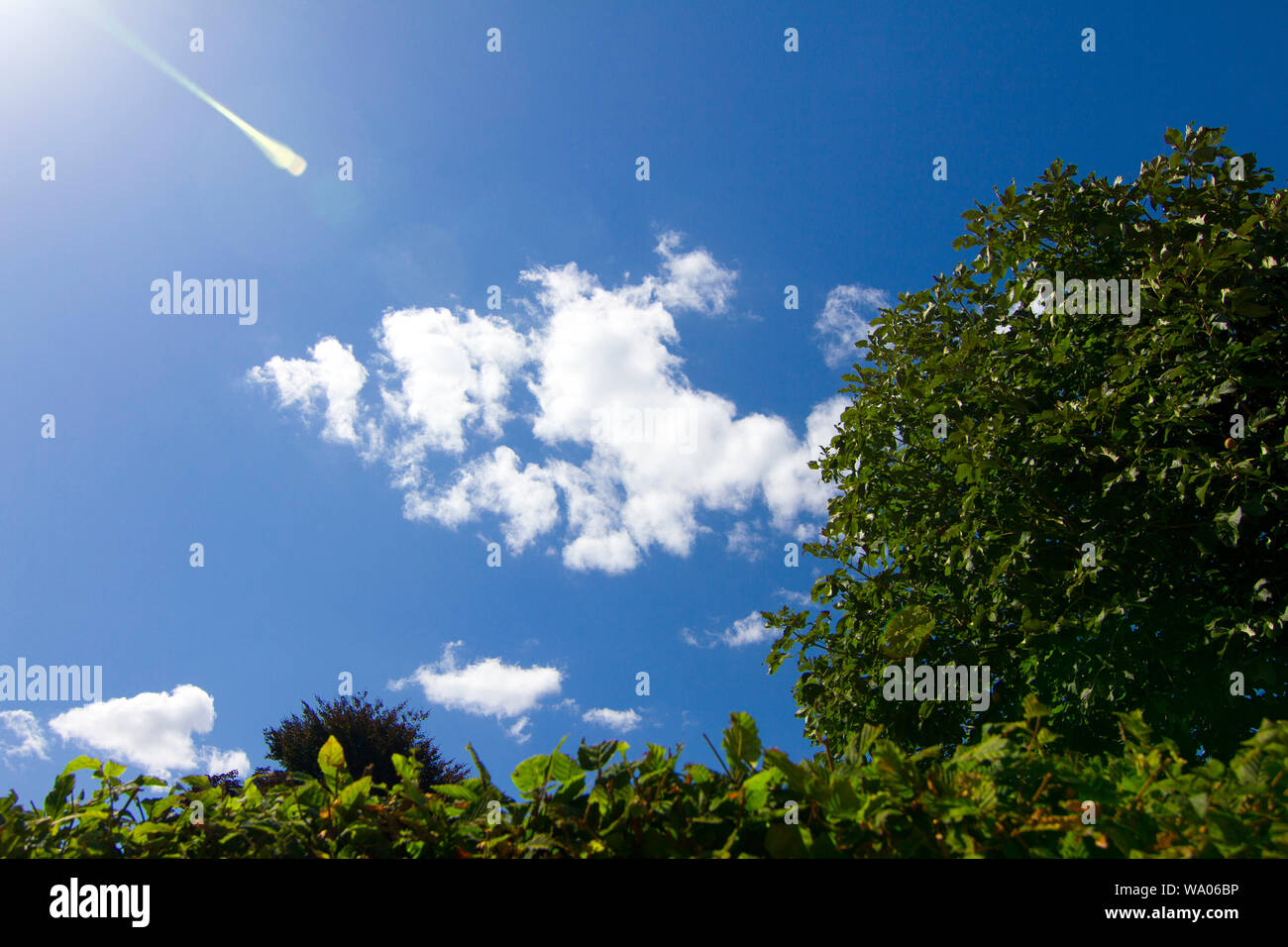 Cumulus fractus,humilis (Cu fra, hum - zerrissen,niedrig), 30052653.Caption locale *** Foto Stock