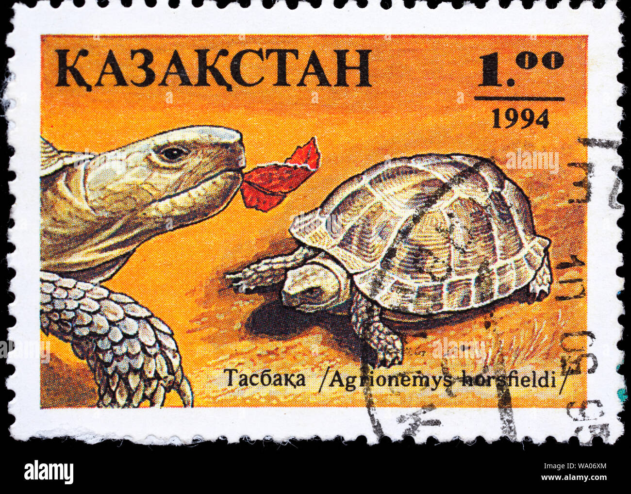 Russo, tartaruga Horsfield la tartaruga, dell Asia centrale,Tartaruga Testudo horsfieldii, Agrionemys horsfieldii, francobollo, Kazakistan, 1994 Foto Stock