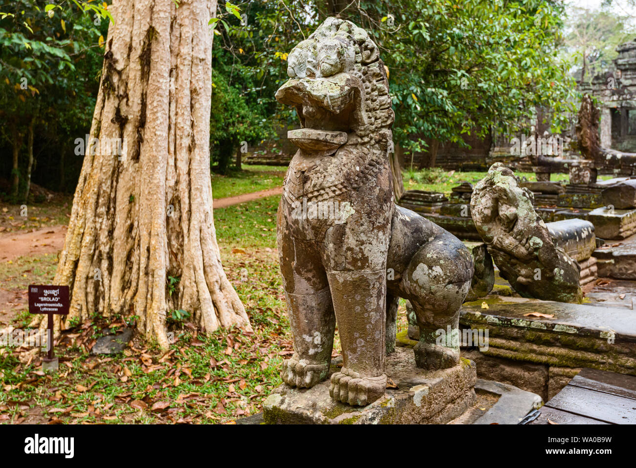 Lion scalinata del cerimoniale terrazza in Preah Khan tempio Khmer, rovine di Angkor Thom, in Siem Reap Cambogia Foto Stock