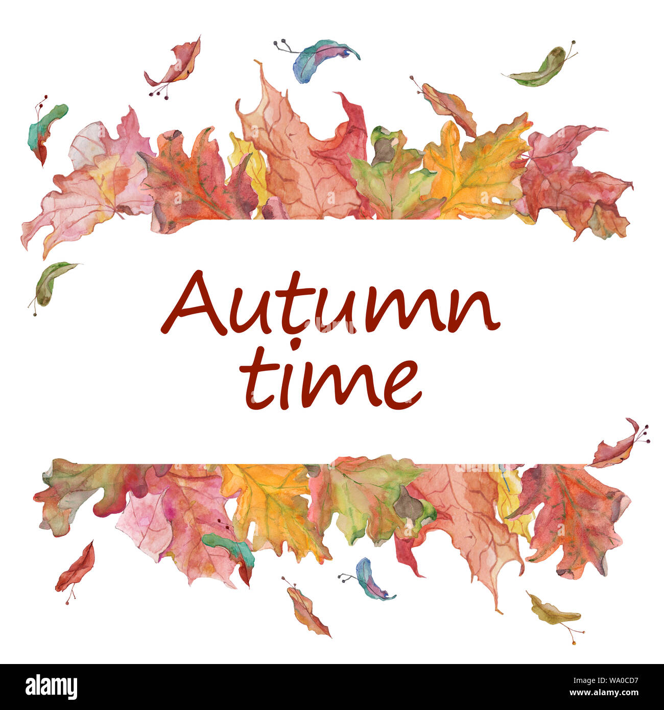 Mano ad acquerello ha richiamato l'autunno foglie di acero e semi di confine isolati su sfondo bianco. Design per i tessili, l'imballaggio e la stagione decor. Foto Stock