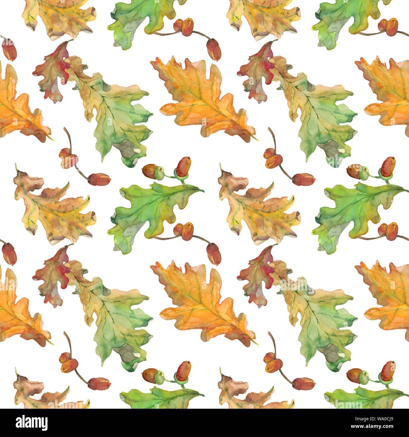 Acquerello disegnato a mano modello senza cuciture con autunno verde e giallo di foglie di quercia e ghiande su sfondo bianco. Design per i tessili, arredamento, imballaggio. Foto Stock
