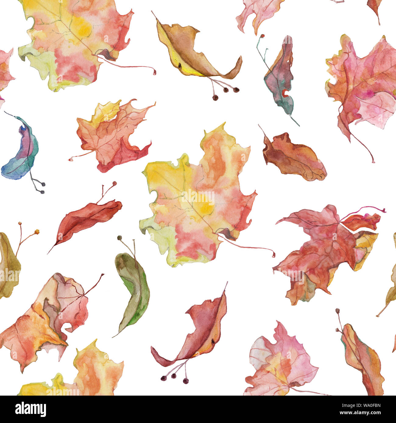 Acquerello Disegnato A Mano Piastrella Senza Soluzione Di Continuita Con L Autunno Foglie Di Acero E Semi Su Sfondo Bianco Il Pattern Raster Rosso Giallo Marrone Colori Stagione Decor Foto Stock Alamy