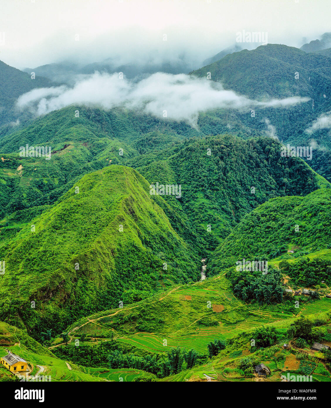 Idillica vista dei campi di riso, terrazze di riso risaie intorno a Sapa highlands, Vietnam. Foto Stock