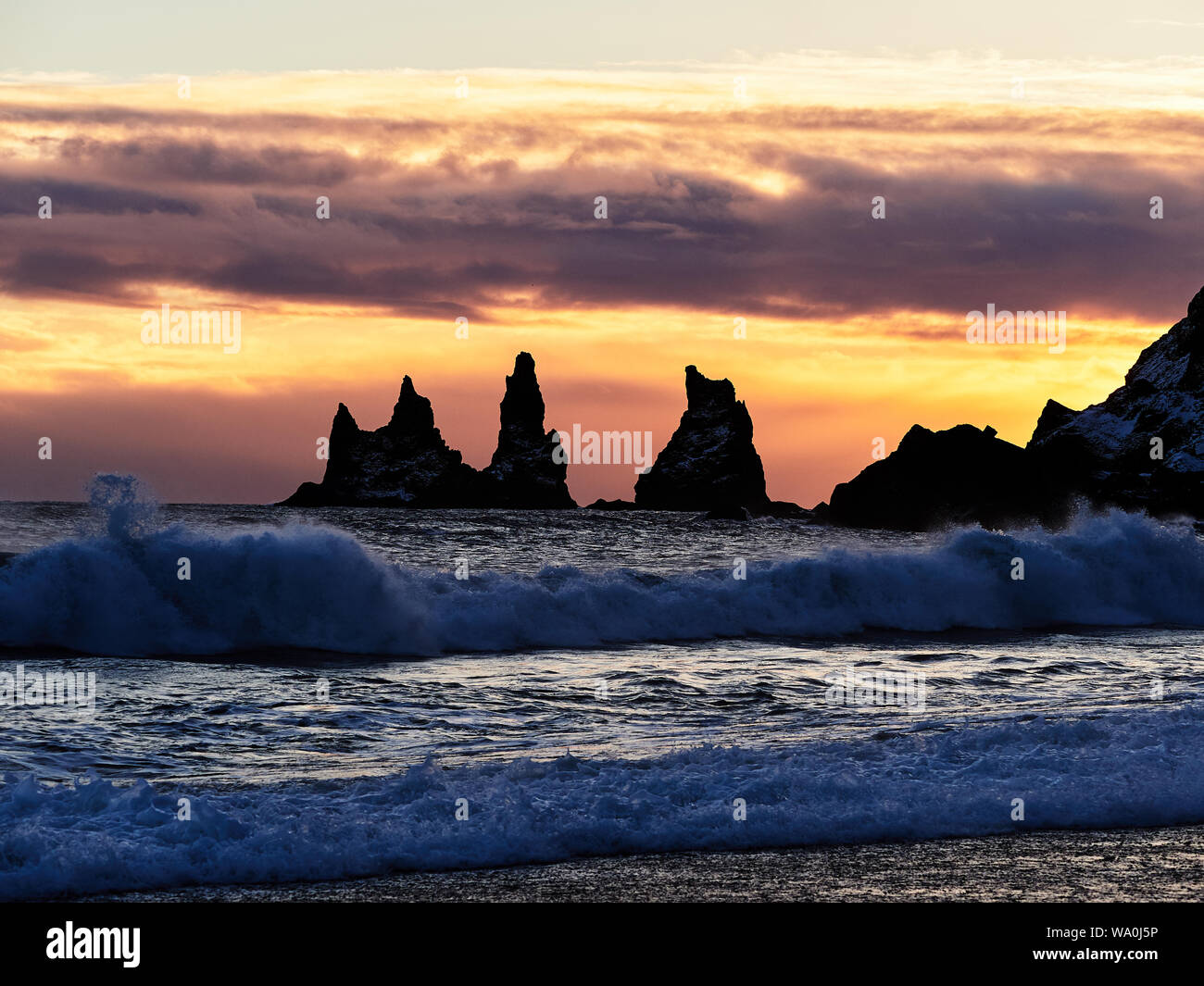 Islandese di mare vicino alla spiaggia Foto Stock
