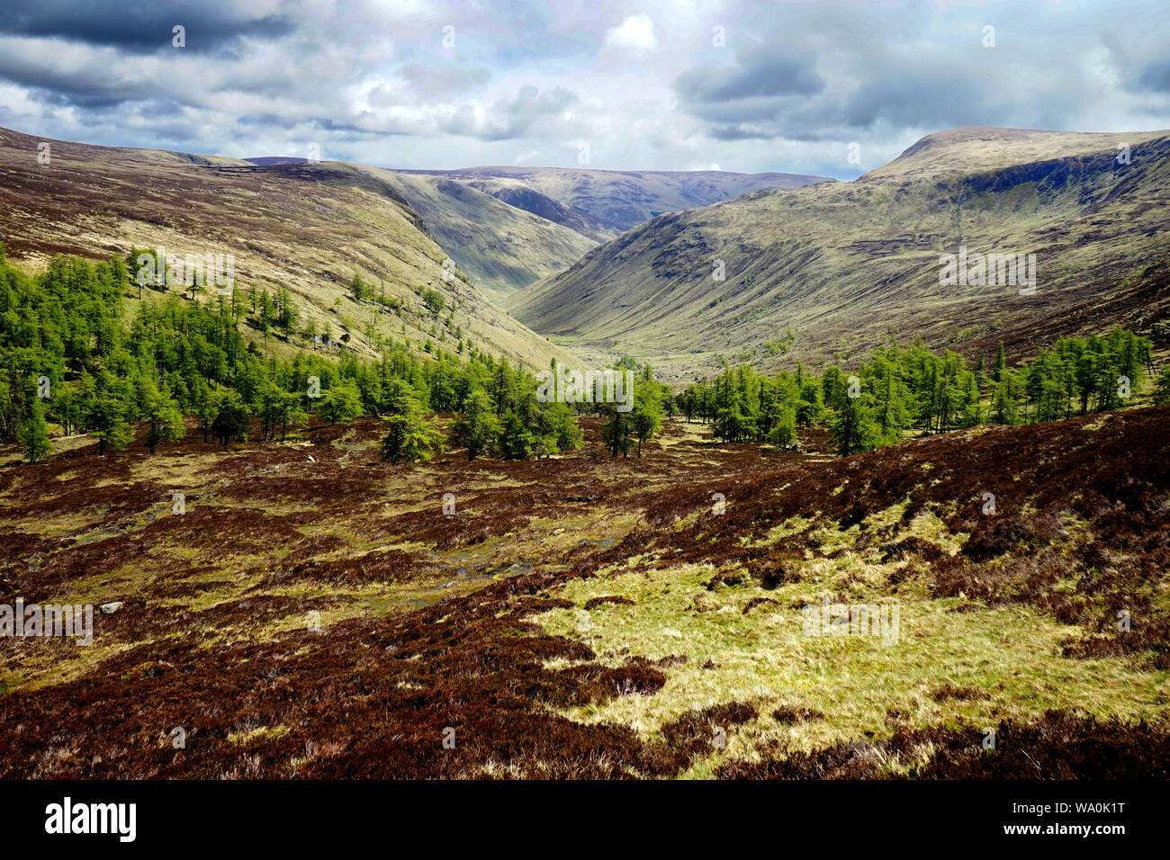 Bachnagairn, Glen Doll, Angus, Scozia. Foto Stock