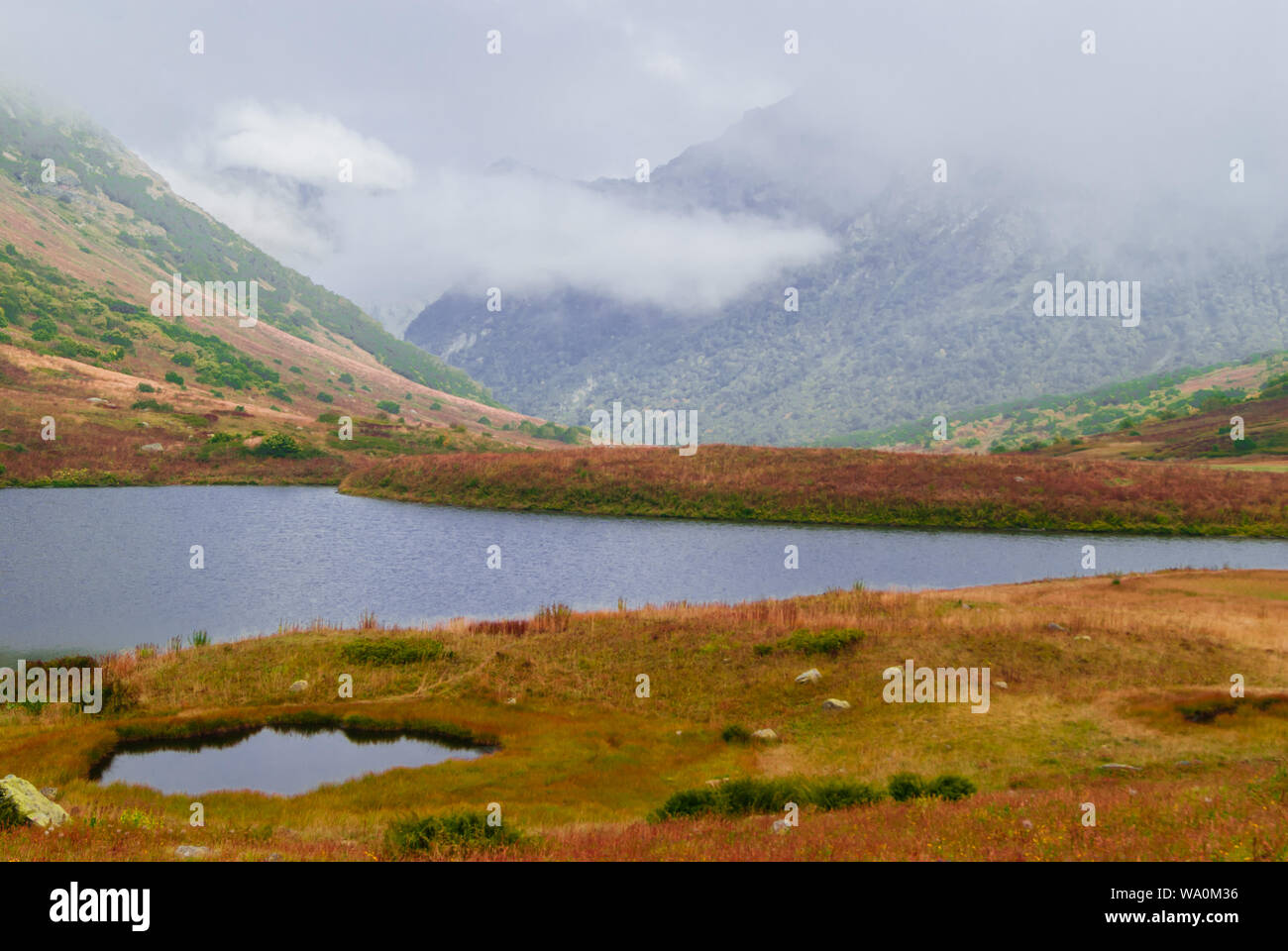 Misty mountain valley con lussureggiante vegetazione autunnale e due piccoli laghi, riparato da nuvole basse Foto Stock