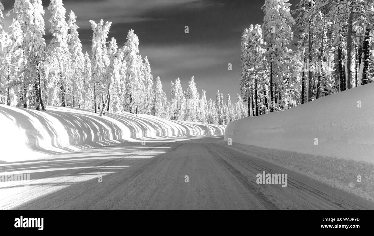 Strada di Montagna autostrada 88 verso Carson Pass, California, Stati Uniti d'America, in un giorno di inverni dotato di cinque metri di neve sul lato della strada dopo diversi stor Foto Stock