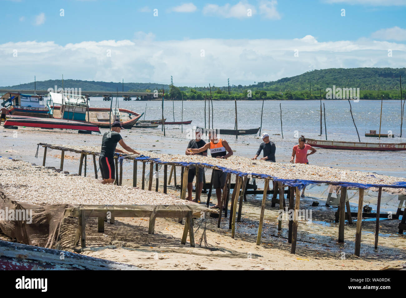 Itapissuma, Brasile - Circa il luglio 2019: i pescatori mettendo piccoli pesci sparsi su un tavolo in riva al mare ad asciugare al sole Foto Stock