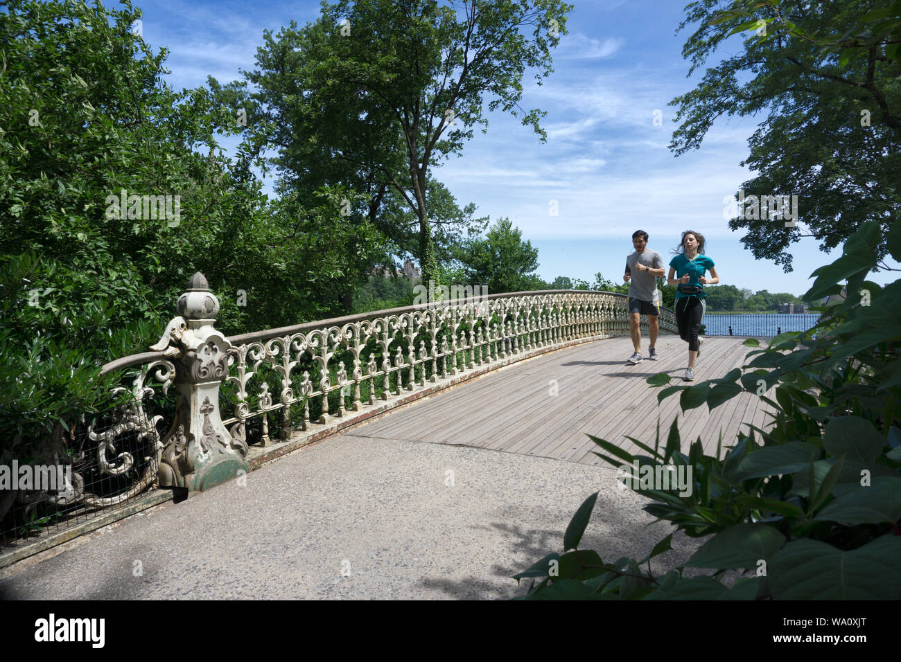 Stati Uniti d'America, la città di New York, Central Park, il ponte pedonale vicino a Jacqueline Kennedy Onassis Reservoir, Giugno 2019 Foto Stock