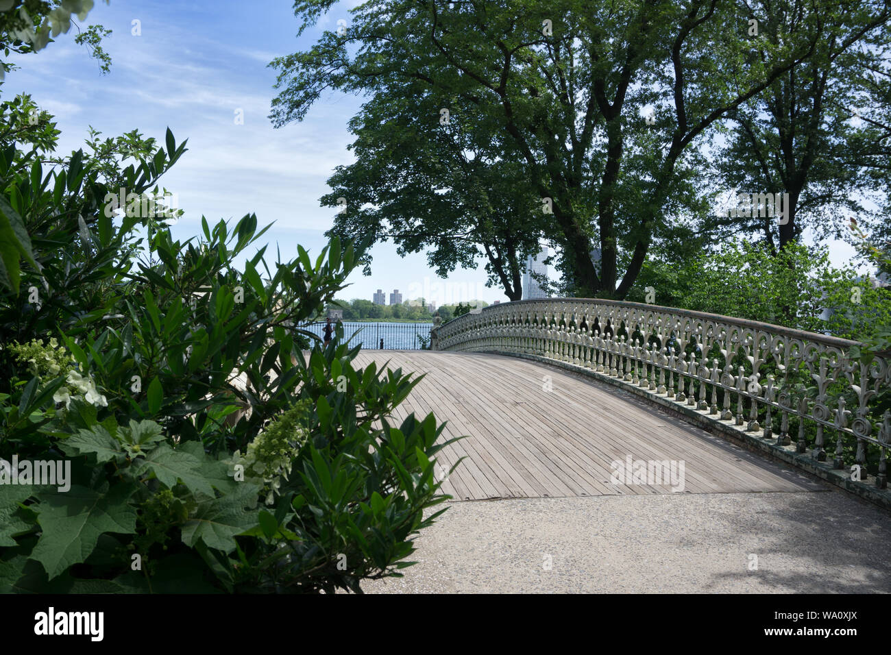 Stati Uniti d'America, la città di New York, Central Park, il ponte pedonale vicino a Jacqueline Kennedy Onassis Reservoir, Giugno 2019 Foto Stock