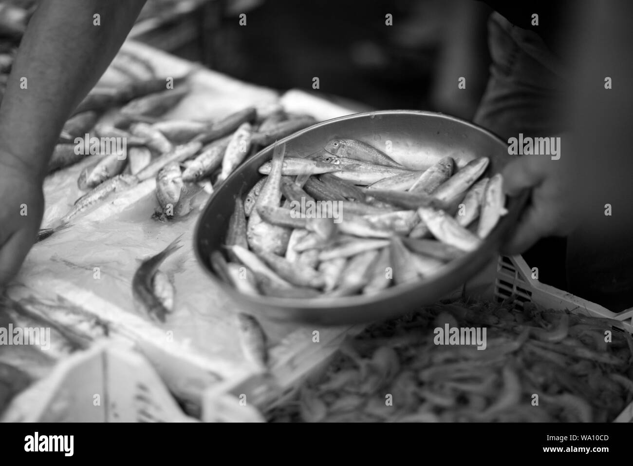 Il venditore mette una raffinata delicatezza i pesci per il compratore nel mercato del pesce Foto Stock