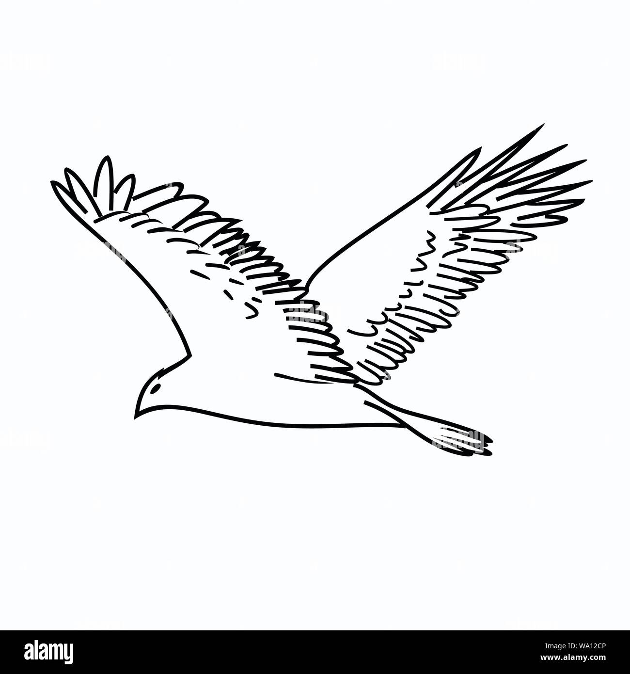 Illustrazione vettoriale di un uccello Illustrazione Vettoriale