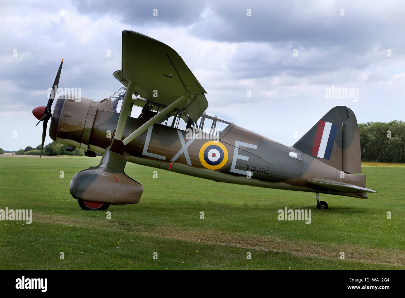 Il Westland Lysander è un esercito britannico co-operazione e liaison velivoli prodotti dalla Westland Aircraft utilizzati durante la Seconda guerra mondiale. Foto Stock