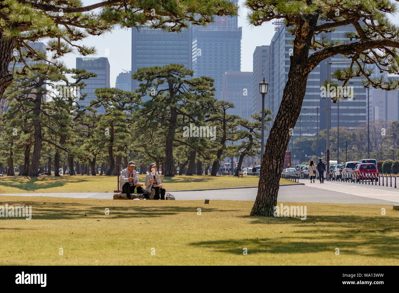 Giovane picnic nel parco, Tokyo, Giappone. Foto Stock