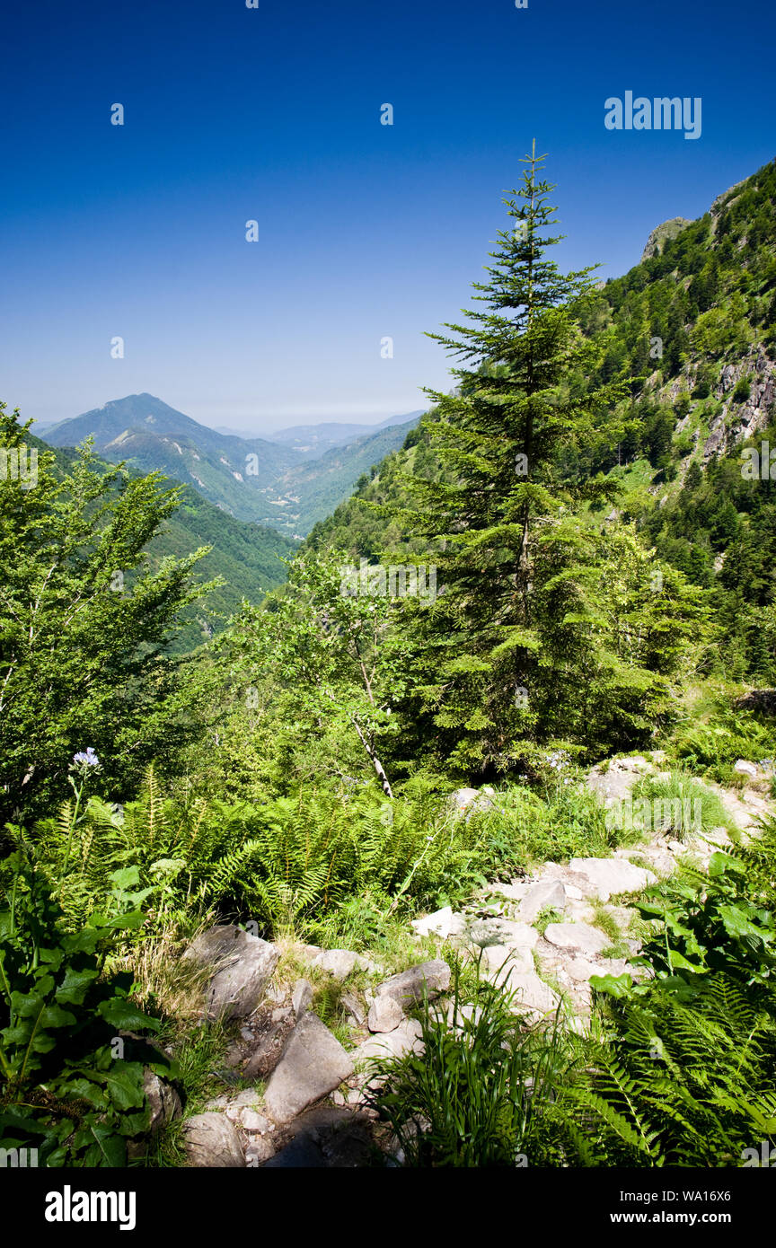 Un sentiero panoramico con una vista verso il basso una valle dei Pirenei francesi. Nei pressi di Aullo les Bains. Foto Stock