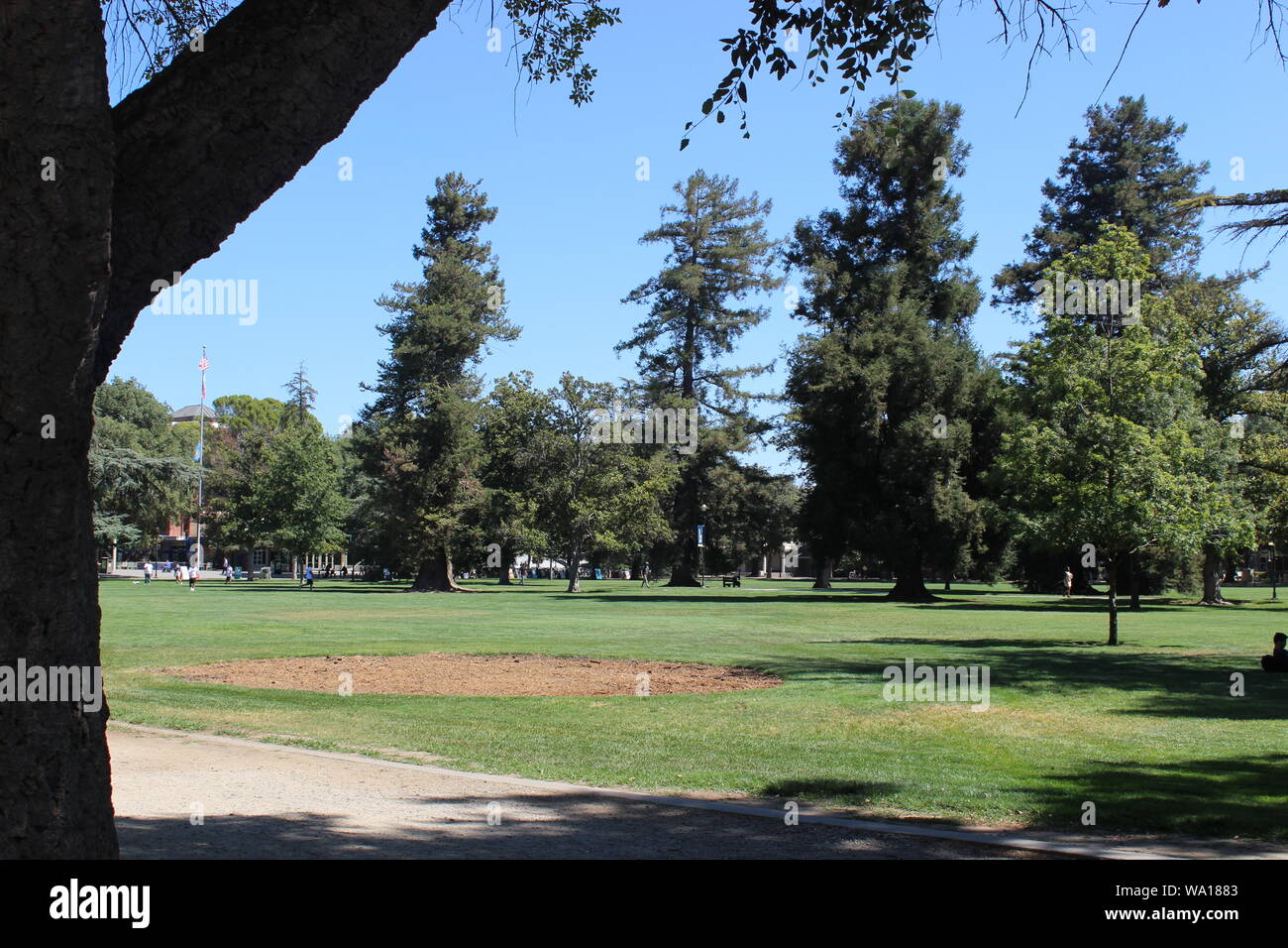 Il Quad, UC Davis, Davis, California Foto Stock