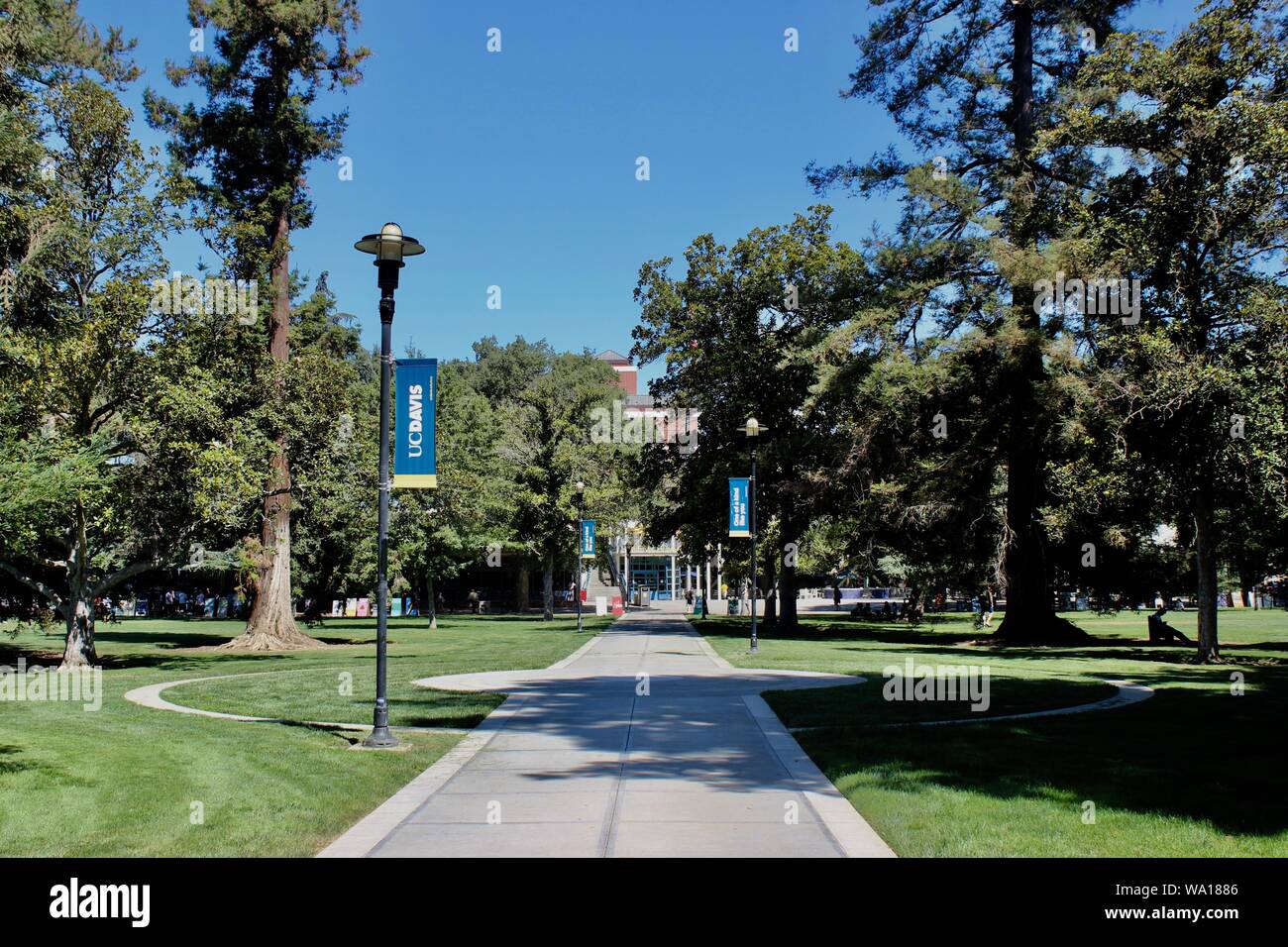 Il Quad, UC Davis, Davis, California Foto Stock