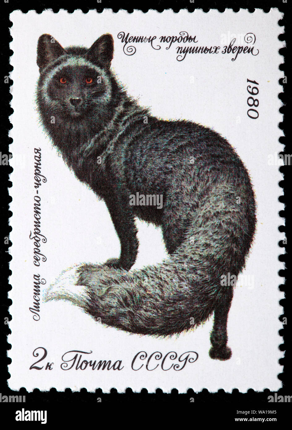 Red Fox, Vulpes vulpes, francobollo, Russia, URSS, 1980 Foto Stock