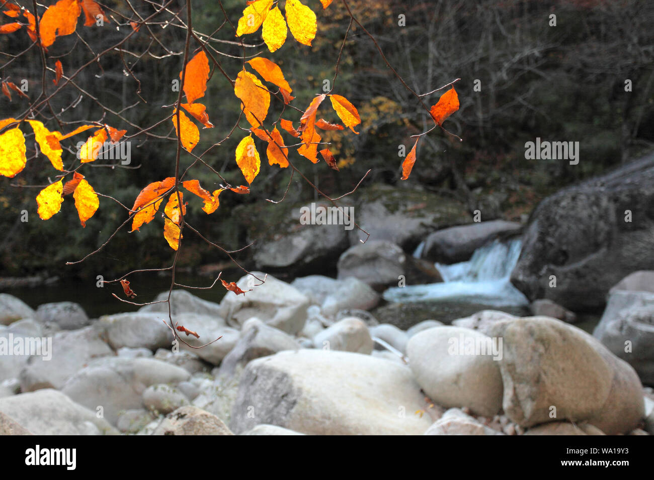 Shaanxi hanzhong mian county le montagne yunwu Foto Stock