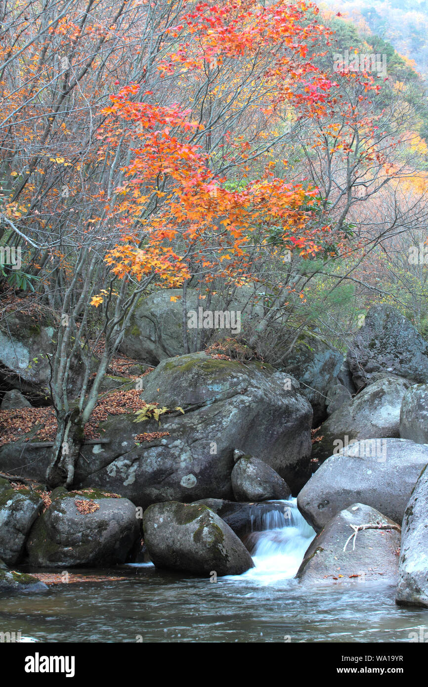 Shaanxi hanzhong mian county le montagne yunwu Foto Stock