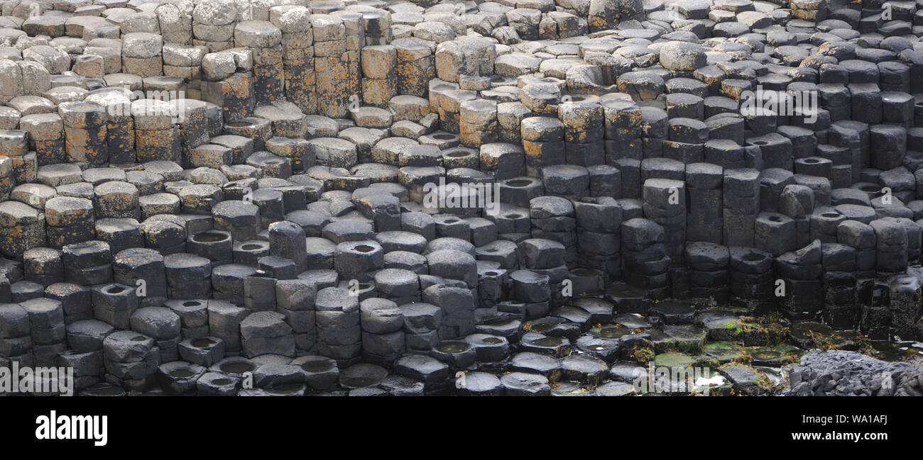 Poligonale di colonne di basalto del Giant's Causeway. Bushmills, County Antrim, Irlanda del Nord, Regno Unito. Foto Stock