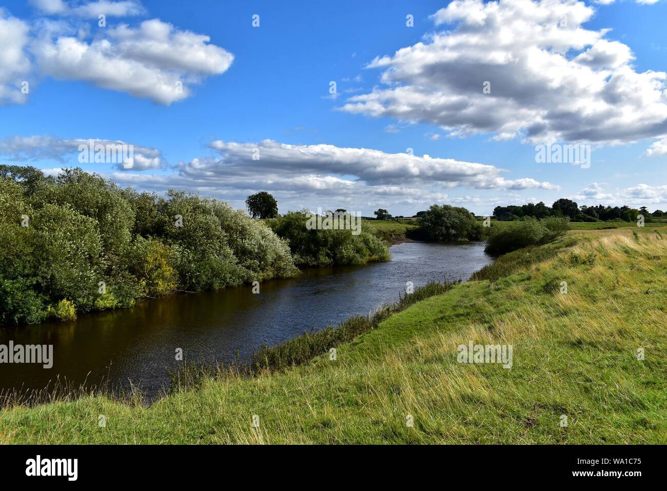 Il fiume Swale vicino Cundall nel North Yorkshire. Foto Stock